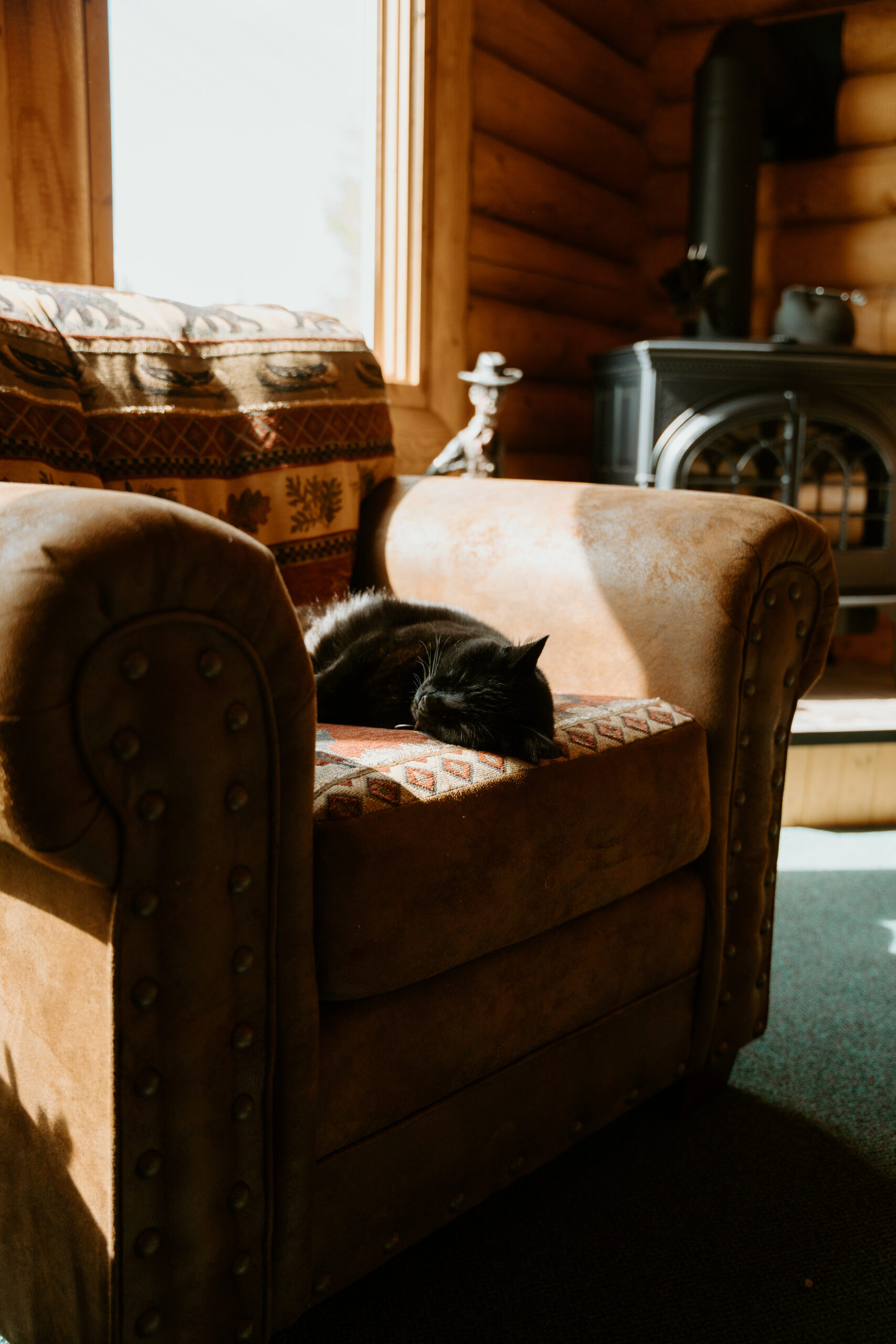 Reno wedding photographer captures cat sitting on chair while bride gets ready for Reno wedding