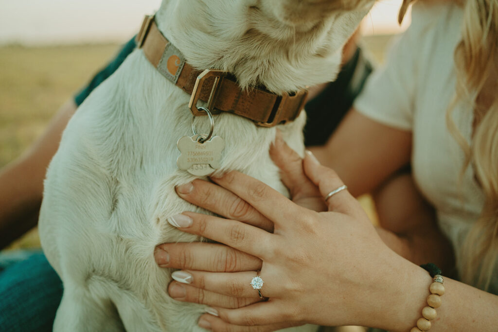 Reno wedding photographer captures man and woman's hands on dog showing engagement ring