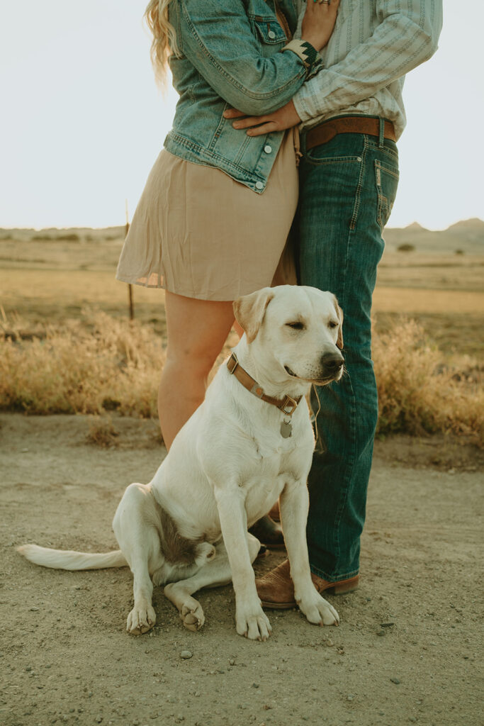 Reno wedding photographer captures yellow lab standing in front of couple kissing