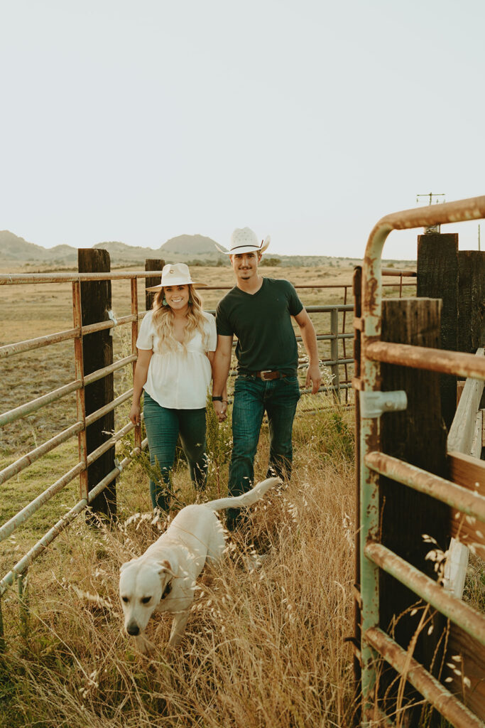 Reno wedding photographer captures couple walking through cattle shoot