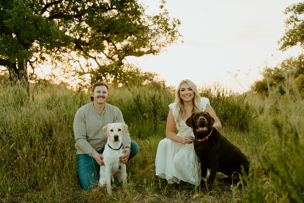 Reno Wedding Photographer captures bride and groom with dogs