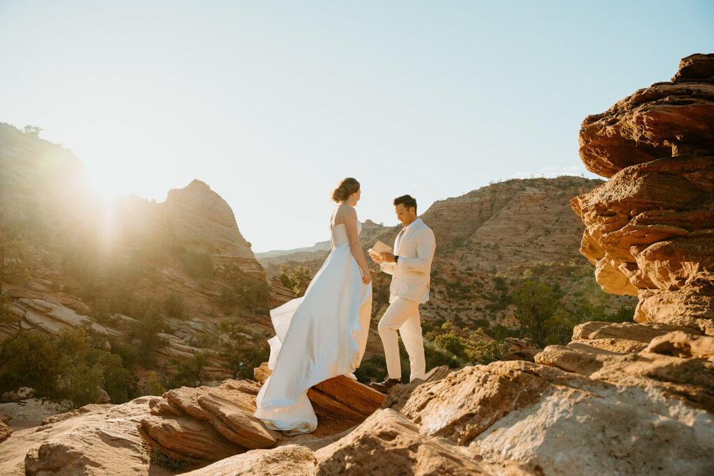 Destination Wedding Photographer captures bride and groom standing on boulder in National Park wedding