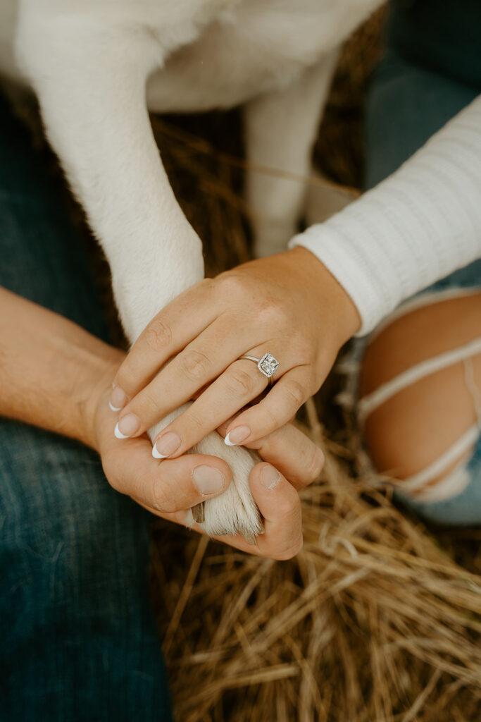 Reno Wedding Photographer captures engagement ring and dogs hand